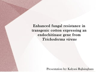 Enhanced fungal resistance in
transgenic cotton expressing an
endochitinase gene from
Trichoderma virens
Presentation by: Kalyani Rajlaingham
 