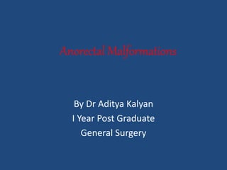 Anorectal Malformations
By Dr Aditya Kalyan
I Year Post Graduate
General Surgery
 