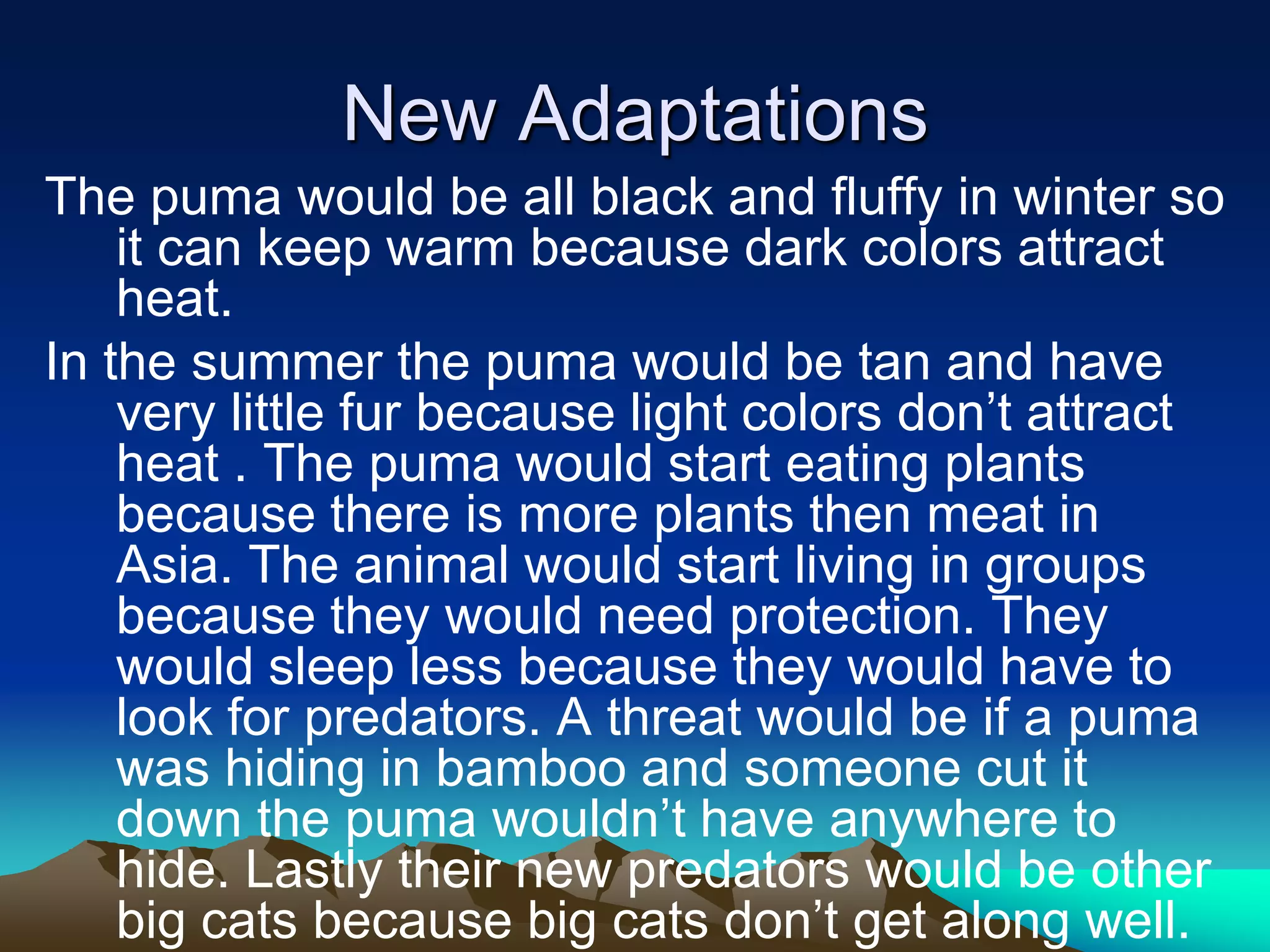 New Adaptations
The puma would be all black and fluffy in winter so
    it can keep warm because dark colors attract
    heat.
In the summer the puma would be tan and have
    very little fur because light colors don’t attract
    heat . The puma would start eating plants
    because there is more plants then meat in
    Asia. The animal would start living in groups
    because they would need protection. They
    would sleep less because they would have to
    look for predators. A threat would be if a puma
    was hiding in bamboo and someone cut it
    down the puma wouldn’t have anywhere to
    hide. Lastly their new predators would be other
    big cats because big cats don’t get along well.
 