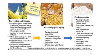 Harvesting and Storage
• Harvesting date and method
(Optimum time when stalks
have dried and moisture of
grain as about 20-17%.)
• Grading the yields
• Amount of yields (probably
in Kgs)
• Main grain storage medium
for unprocessed maize
• Drying strategy (12%-15.5%
moisture content)
• Protection measures from
insect pests, rodents, molds,
birds and man.
Marketing/packaging/
Branding
• Packaging and
branding
• Markets with high
demand and good
prices
• Transport costs
• Whole sale and Retail
Food processing
• Adding value to
processed maize
(maize meal,
porridges, pastes and
beer)
• Best processing
methods
• Costs and availability
of milling machines
• Processing of by
products
• Packaging and
branding
• Prices and demand
Waste management practices, food safety measures and quality practices
19
 