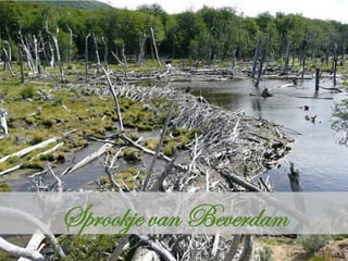 Sprookje van Beverdam	
  
 