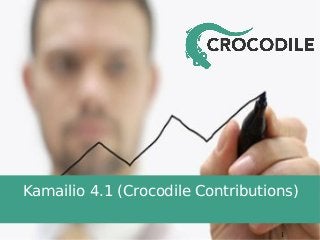 Kamailio 4.1 (Crocodile Contributions)
1

 