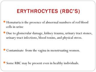ERYTHROCYTES (RBC’S)
Hematuria is the presence of abnormal numbers of red blood
cells in urine
Due to glomerular damage, kidney trauma, urinary tract stones,
urinary tract infections, blood toxins, and physical stress.
Contaminate from the vagina in menstruating women.
Some RBC may be present even in healthy individuals.
 