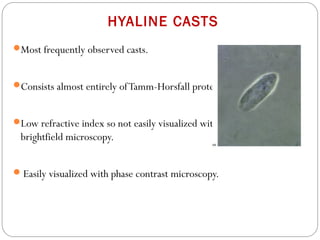 HYALINE CASTS
Most frequently observed casts.
Consists almost entirely ofTamm-Horsfall protein.
Low refractive index so not easily visualized with
brightfield microscopy.
Easily visualized with phase contrast microscopy.
 