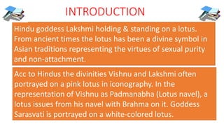 INTRODUCTION 
Hindu goddess Lakshmi holding & standing on a lotus. 
From ancient times the lotus has been a divine symbol in 
Asian traditions representing the virtues of sexual purity 
and non-attachment. 
Acc to Hindus the divinities Vishnu and Lakshmi often 
portrayed on a pink lotus in iconography. In the 
representation of Vishnu as Padmanabha (Lotus navel), a 
lotus issues from his navel with Brahma on it. Goddess 
Sarasvati is portrayed on a white-colored lotus. 
 