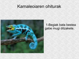 Kamaleoiaren ohiturak



             1-Begiak bata bestea
             gabe mugi ditzakete.
 