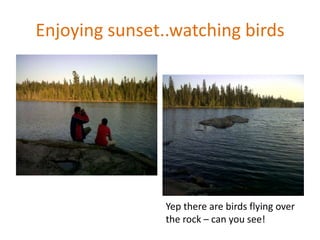 Enjoying sunset..watching birds




                Yep there are birds flying over
                the rock – can you see!
 