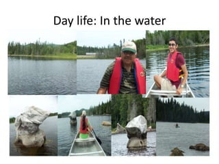 Day life: In the water
 