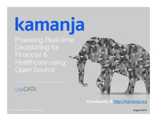 © 2015 ligaDATA, Inc. All Rights Reserved.
Powering Real-time
Decisioning for
Financial &
Healthcare using
Open Source 
August 2015
Community @ http://Kamanja.org 
 
