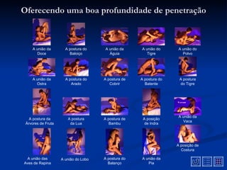 Oferecendo uma boa profundidade de penetração



     A união da       A postura do    A união da     A união do      A união do
        Doce            Baloiço         Águia           Tigre          Polvo




     A união da       A postura do    A postura de   A postura do    A postura
       Ostra             Arado           Cobrir        Batente       do Tigre




                                                                     A união da
   A postura da        A postura      A postura de    A posição
                                                                        Vaca
 Árvores de Fruta       da Lua           Bambu         de Indra




                                                                    A posição de
                                                                      Costura

 A união das        A união do Lobo   A postura do   A união da
Aves de Rapina                          Balanço         Pia
 