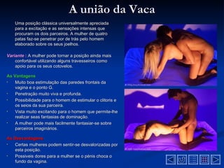 A união da Vaca
    Uma posição clássica universalmente apreciada
    para a excitação e as sensações intensas que
    procuram os dois parceiros. A mulher de quatro
    patas faz-se penetrar por de trás pelo homem
    elaborado sobre os seus joelhos.

Variante : A mulher pode tornar a posição ainda mais
    confortável utilizando alguns travesseiros como
    apoio para os seus cotovelos.

As Vantagens
•   Muito boa estimulação das paredes frontais da
    vagina e o ponto G.
•   Penetração muito viva e profunda.
•   Possibilidade para o homem de estimular o clitoris e
    os seios da sua parceira.
•   Vista muito excitando para o homem que permite-lhe
    realizar seas fantasias de dominação.
•   A mulher pode mais facilmente fantasiar-se sobre
    parceiros imaginários.

As Desvantagens
•  Certas mulheres podem sentir-se desvalorizadas por
   esta posição.
•  Possiveis dores para a mulher se o pénis choca o
   fundo da vagina.
 