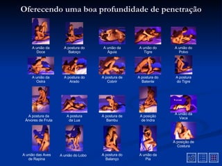 Oferecendo uma boa profundidade de penetração A união da Doce A postura do Baloiço A união da Águia A união do Polvo A união do Tigre A postura da Árvores de Fruta A postura do Arado A postura do Batente A união da Ostra A postura de Cobrir A postura do Tigre A postura de Bambu A posição de Indra A postura da Lua A postura do Balanço A posição de Costura A união das Aves de Rapina A união do Lobo A união da Pia A união da Vaca 