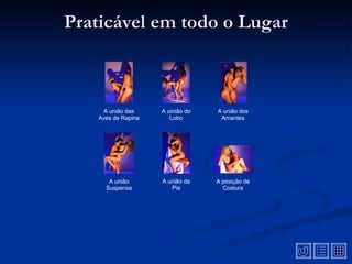 Praticável em todo o Lugar A união dos Amantes A posição de Costura A união das Aves de Rapina A uinião do Lobo A união da Pia A união Suspensa 