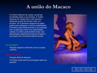 A união do Macaco O homem deita-se de costas, as pernas encolhidas sobre a sua barriga. A mulher senta-se de costas para o seu parceiro, utilizando os pés do homem como um encosto. Os 2 parceiros seguram-se pelos pulsos para assegurar uma boa estabilidade. O homem pode então levantar a sua parceira com os pés para iniciar uma estimulação vertical. A mulher pode também fazer uma estimulação suplementar fazendo ondular a sua bacia num movimento lateral circular .  As Vantagens Posição original e divertindo para os casais criativos .  As Desvantagens  Posição dificil de dominar.  O homem pode sentir-se esmagado pela sua parceira .  
