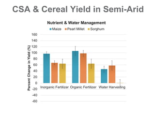 Introduction to Climate-Smart Agriculture: Busia County, Kenya