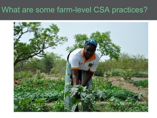 Introduction to Climate-Smart Agriculture: Busia County, Kenya