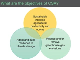 Introduction to Climate-Smart Agriculture: Busia County, Kenya