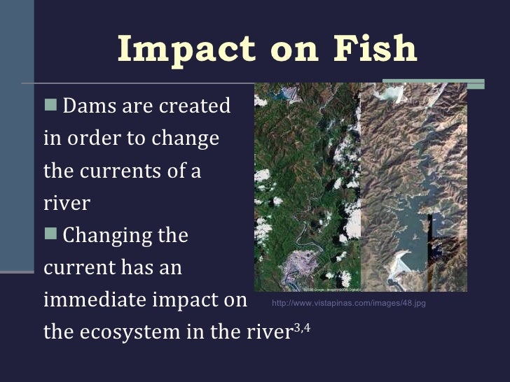 2011 10 5 dams.ppt