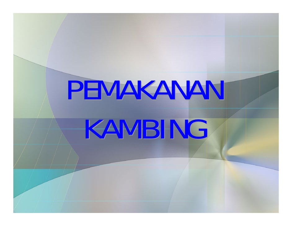 Kambing Boer