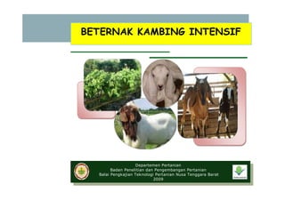 BETERNAK KAMBING INTENSIF




                    Departemen Pertanian
        Badan Penelitian dan Pengembangan Pertanian
  Balai Pengkajian Teknologi Pertanian Nusa Tenggara Barat
                            2009
 