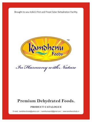 Kamdhenu Foods, Valsad, Nutritious Food Items