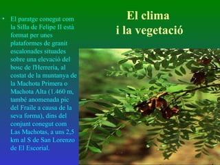 El clima  i la vegetació El paratge conegut com la Silla de Felipe II està format per unes plataformes de granit escalonades situades sobre una elevació del bosc de l'Herrería, al costat de la muntanya de la Machota Primera o Machota Alta (1.460 m, també anomenada pic del Fraile a causa de la seva forma), dins del conjunt conegut com Las Machotas, a uns 2,5 km al S de San Lorenzo de El Escorial. 