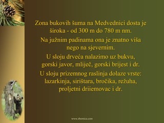 Zona bukovih šuma na Medvednici dosta je
     široka - od 300 m do 780 m nm.
  Na južnim padinama ona je znatno viša
            nego na sjevernim.
    U sloju drveća nalazimo uz bukvu,
  gorski javor, mliječ, gorski brijest i dr.
 U sloju prizemnog raslinja dolaze vrste:
   lazarkinja, sirištara, bročika, režuha,
         proljetni driiemovac i dr.



              www.zbornica.com
 