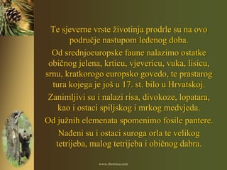 Te sjeverne vrste životinja prodrle su na ovo
        područje nastupom ledenog doba.
  Od srednjoeuropske faune nalazimo ostatke
 običnog jelena, krticu, vjevericu, vuka, lisicu,
srnu, kratkorogo europsko govedo, te prastarog
  tura kojega je još u 17. st. bilo u Hrvatskoj.
 Zanimljivi su i nalazi risa, divokoze, lopatara,
    kao i ostaci spiljskog i mrkog medvjeda.
Od južnih elemenata spomenimo fosile pantere.
    NaĎeni su i ostaci suroga orla te velikog
   tetrijeba, malog tetrijeba i običnog dabra.

               www.zbornica.com
 