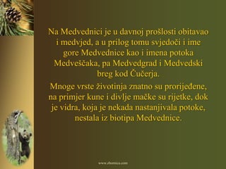Na Medvednici je u davnoj prošlosti obitavao
   i medvjed, a u prilog tomu svjedoči i ime
     gore Medvednice kao i imena potoka
  Medveščaka, pa Medvedgrad i Medvedski
               breg kod Čučerja.
Mnoge vrste životinja znatno su prorijeĎene,
na primjer kune i divlje mačke su rijetke, dok
 je vidra, koja je nekada nastanjivala potoke,
        nestala iz biotipa Medvednice.



              www.zbornica.com
 