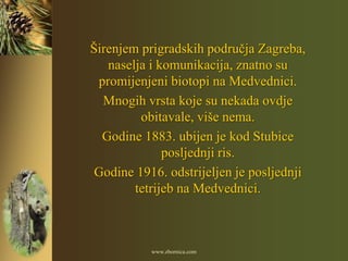 Širenjem prigradskih područja Zagreba,
   naselja i komunikacija, znatno su
 promijenjeni biotopi na Medvednici.
  Mnogih vrsta koje su nekada ovdje
         obitavale, više nema.
  Godine 1883. ubijen je kod Stubice
              posljednji ris.
 Godine 1916. odstrijeljen je posljednji
        tetrijeb na Medvednici.



           www.zbornica.com
 