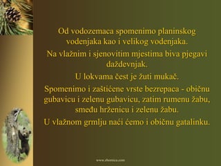 Od vodozemaca spomenimo planinskog
      vodenjaka kao i velikog vodenjaka.
 Na vlažnim i sjenovitim mjestima biva pjegavi
                  daždevnjak.
        U lokvama čest je žuti mukač.
Spomenimo i zaštićene vrste bezrepaca - običnu
gubavicu i zelenu gubavicu, zatim rumenu žabu,
        smeĎu hrženicu i zelenu žabu.
U vlažnom grmlju naći ćemo i običnu gatalinku.



              www.zbornica.com
 
