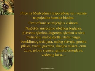 Ptice na Medvednici rasporeĎene su i vezane
         na pojedine šumske biotipe.
      Ornitofauna se mijenja s visinom.
    Najčešće susrećemo običnog brgljeza,
 plavetnu sjenicu, dugorepu sjenicu te sivu
    muharicu, malog djetla, zlatnu vugu,
batokljunog trešnjara, malog slavuja, gorsku
plisku, vranu, gavrana, škanjca mišara, crnu
   žunu, jelovu sjenicu, grmušu crnoglavu,
               vodenog kosa…


             www.zbornica.com
 