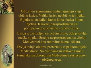 Od zvijeri spomenimo našu najmanju zvijer
 običnu lasicu. Velika lasica neobično je rijetka.
  Rijetke su nadalje i kune: kuna zlatica i kuna
       bjelica. Jazavac je rasprostranjen uz
     poljoprivredne površine i rubove šume.
Lisica je zastupljena u većem broju, dok je divlja
 mačka rijetka. Srna je rasprostranjena na cijeloj
    Medvednici i na rubovima šuma i šikara.
Divlja svinja obitava pretežno u zapadnom dijelu
  Medvednice. Na čistinama uz rubove šuma i
šumaraka na obroncima Medvednice susrećemo i
                   običnog zeca.
                www.zbornica.com
 
