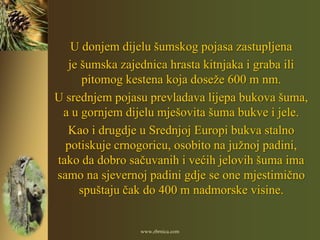 U donjem dijelu šumskog pojasa zastupljena
  je šumska zajednica hrasta kitnjaka i graba ili
      pitomog kestena koja doseže 600 m nm.
U srednjem pojasu prevladava lijepa bukova šuma,
 a u gornjem dijelu mješovita šuma bukve i jele.
  Kao i drugdje u Srednjoj Europi bukva stalno
  potiskuje crnogoricu, osobito na južnoj padini,
tako da dobro sačuvanih i većih jelovih šuma ima
samo na sjevernoj padini gdje se one mjestimično
     spuštaju čak do 400 m nadmorske visine.


                www.zbrnica.com
 