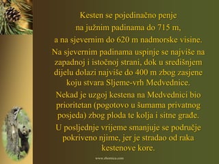 Kesten se pojedinačno penje
       na južnim padinama do 715 m,
a na sjevernim do 620 m nadmorske visine.
Na sjevernim padinama uspinje se najviše na
zapadnoj i istočnoj strani, dok u središnjem
dijelu dolazi najviše do 400 m zbog zasjene
    koju stvara Sljeme-vrh Medvednice.
 Nekad je uzgoj kestena na Medvednici bio
 prioritetan (pogotovo u šumama privatnog
 posjeda) zbog ploda te kolja i sitne graĎe.
 U posljednje vrijeme smanjuje se područje
   pokriveno njime, jer je stradao od raka
               kestenove kore.
            www.zbornica.com
 