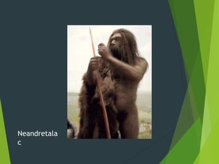 Neandretala
c
 