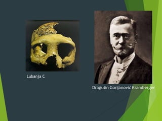 Dragutin Gorijanović Kramberger
Lubanja C
 