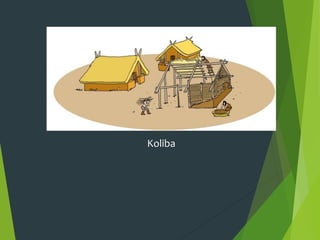Koliba
 