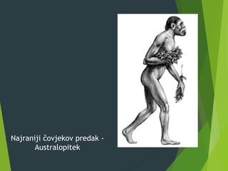 Najraniji čovjekov predak -
Australopitek
 