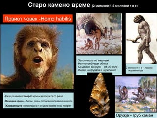 Старо камено време (2 милиони-1,6 милиони п н е)
-Не е развиен говорот-крици и покрети со раце
- Основна храна – билки, разни плодови,полжави и инсекти
-Живеалиште-непостојано т.е цело време е во покрет
2 милиони п н е – Африка
исправено оди
Оружје – груб камен
-Засолништа по пештери
-Не употребуваат облека
-Се движи во групи – (15-20 луѓе)
-Лидер на групата е најсилниот
Првиот човек -Homo habilis
 