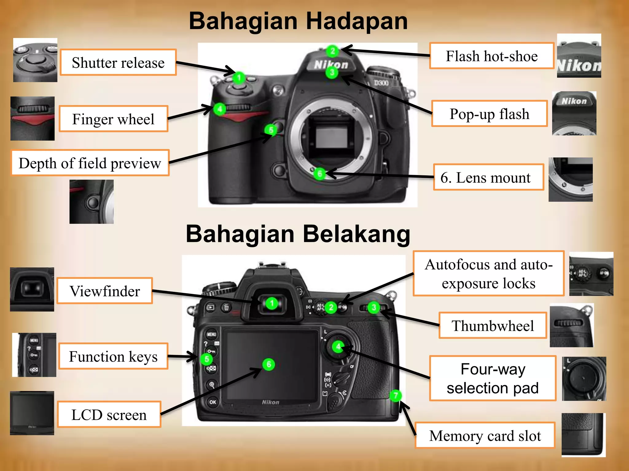 Bahagian Hadapan
Shutter release
Flash hot-shoe
Finger wheel
Pop-up flash
Depth of field preview
6. Lens mount
Bahagian Belakang
Viewfinder
Autofocus and autoexposure locks
Thumbwheel
Function keys
Four-way
selection pad
LCD screen
Memory card slot
