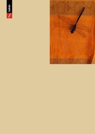 Kameru vorschau he_2014_def