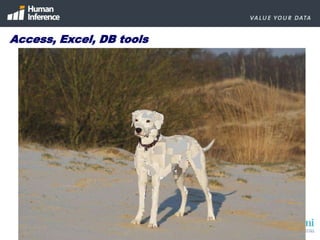 Do you know more about your customer after the migration?