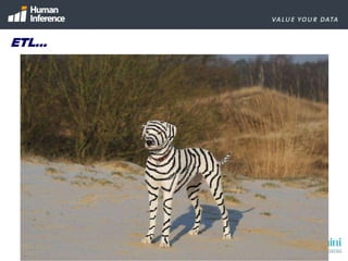 Do you know more about your customer after the migration?