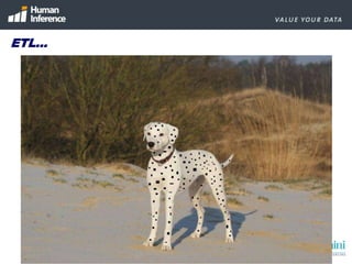 Do you know more about your customer after the migration?