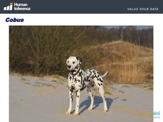 Do you know more about your customer after the migration?