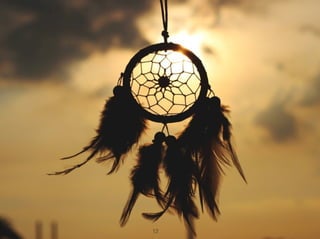 Kami export backbone (8)