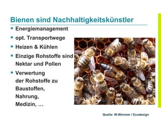 Bienen sind Nachhaltigkeitskünstler
   Energiemanagement
   opt. Transportwege
   Heizen & Kühlen
   Einzige Rohstoffe sind
    Nektar und Pollen
 Verwertung
    der Rohstoffe zu
    Baustoffen,
    Nahrung,
    Medizin, …
                             Quelle: W.Wimmer / Ecodesign
 