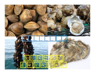 _

_ _ _ _ _

S
E

L
V

X
V

T
N

_ _ _

C
O A

I
B

 