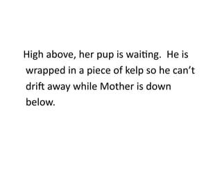 High	
  above,	
  her	
  pup	
  is	
  waiEng.	
  	
  He	
  is	
  
	
  wrapped	
  in	
  a	
  piece	
  of	
  kelp	
  so	
  he	
  can’t	
  
	
  dri`	
  away	
  while	
  Mother	
  is	
  down	
  
	
  below.	
  
 